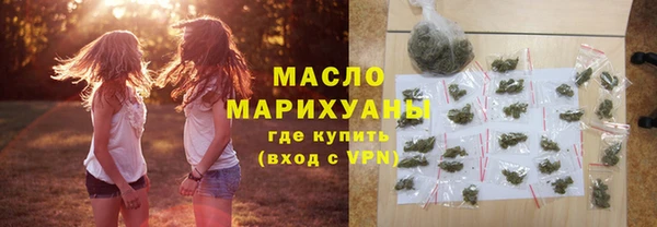 гидра Богородицк