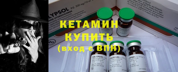 гидра Богородицк