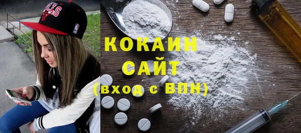 гидра Богородицк