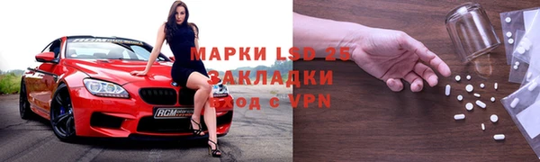 гидра Богородицк
