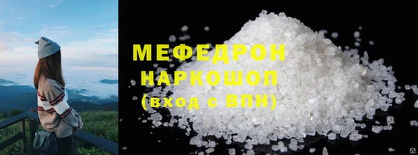 гидра Богородицк