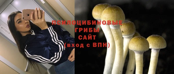 гидра Богородицк