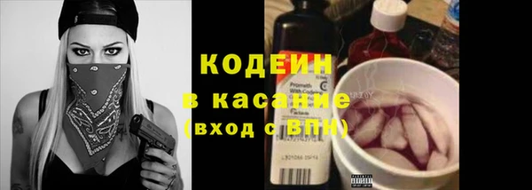 гидра Богородицк