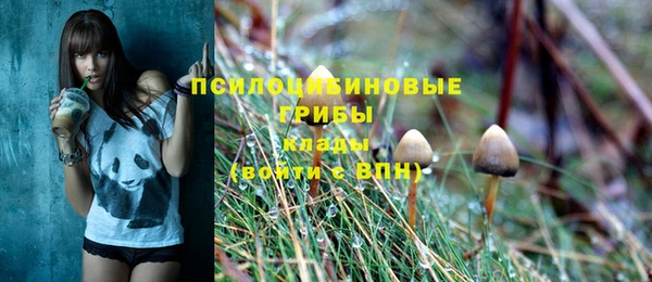 гидра Богородицк