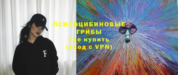 гидра Богородицк