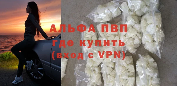 гидра Богородицк