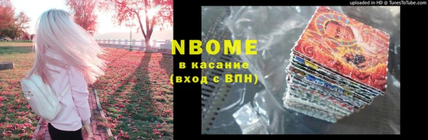 гидра Богородицк